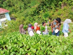 Mahasiswa D4 Pengelolaan Agribisnis Perkebunan Polinef Ikuti Field Trip Terpadu di Tanama
