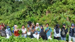 Mahasiswa D4 Pengelolaan Agribisnis Perkebunan Polinef Ikuti Field Trip Terpadu di Kampung Tanama, Fakfak