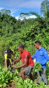 Mahasiswa D4 Pengelolaan Agribisnis Perkebunan Polinef Ikuti Field Trip Terpadu di Kampung Tanama